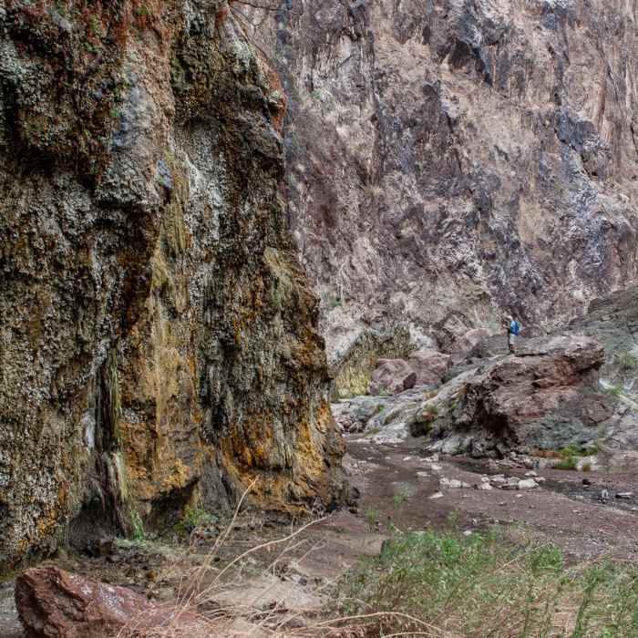 Near Gold Strike Canyon