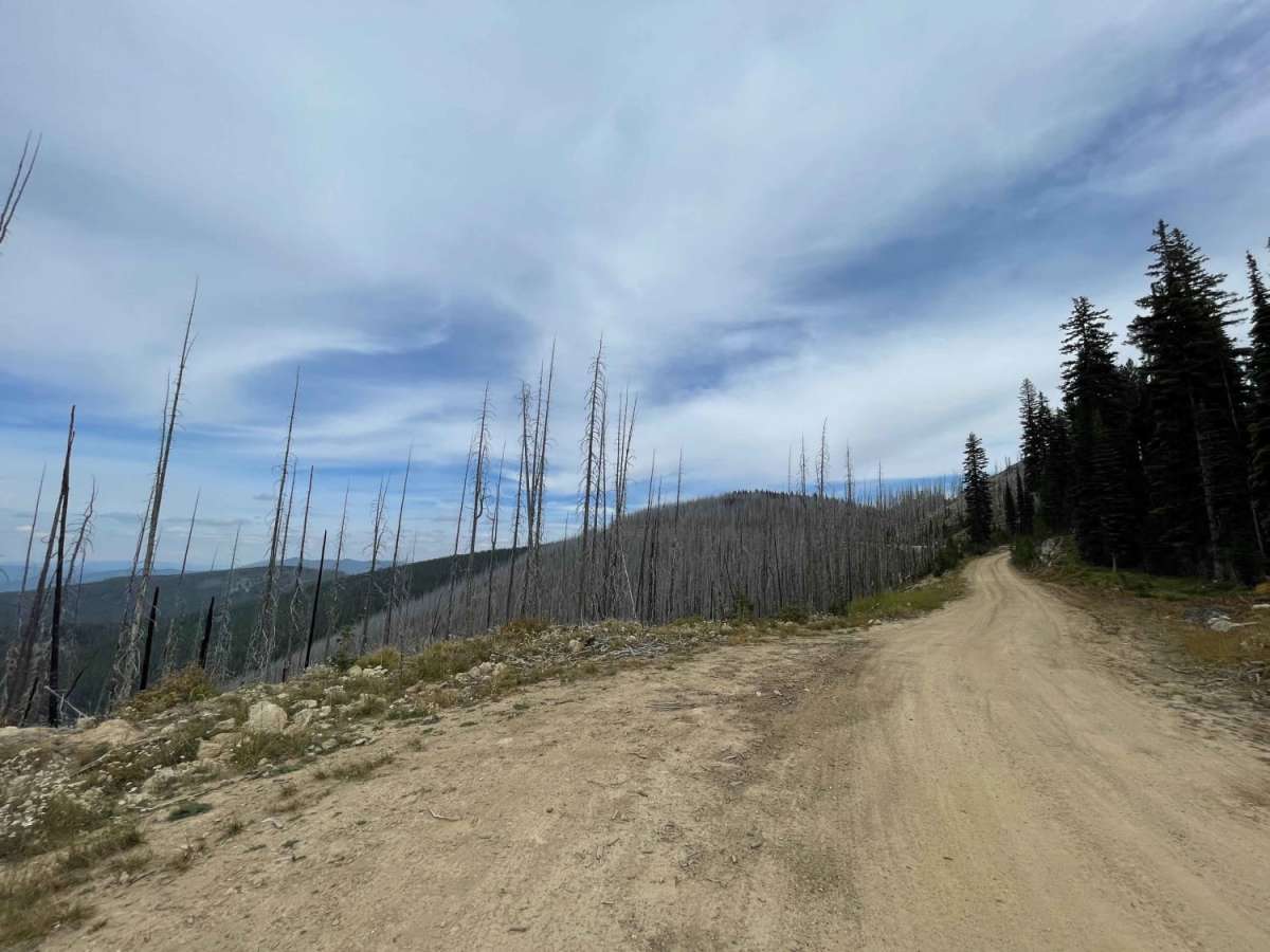 Willow Mountain to Burnt Fork Lake Hiking trail photo 6