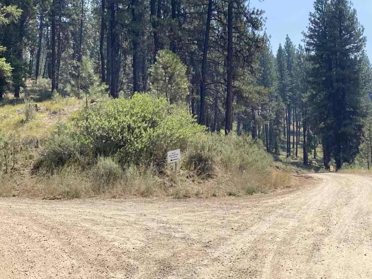 Pine Creek Road - 304 photo 2