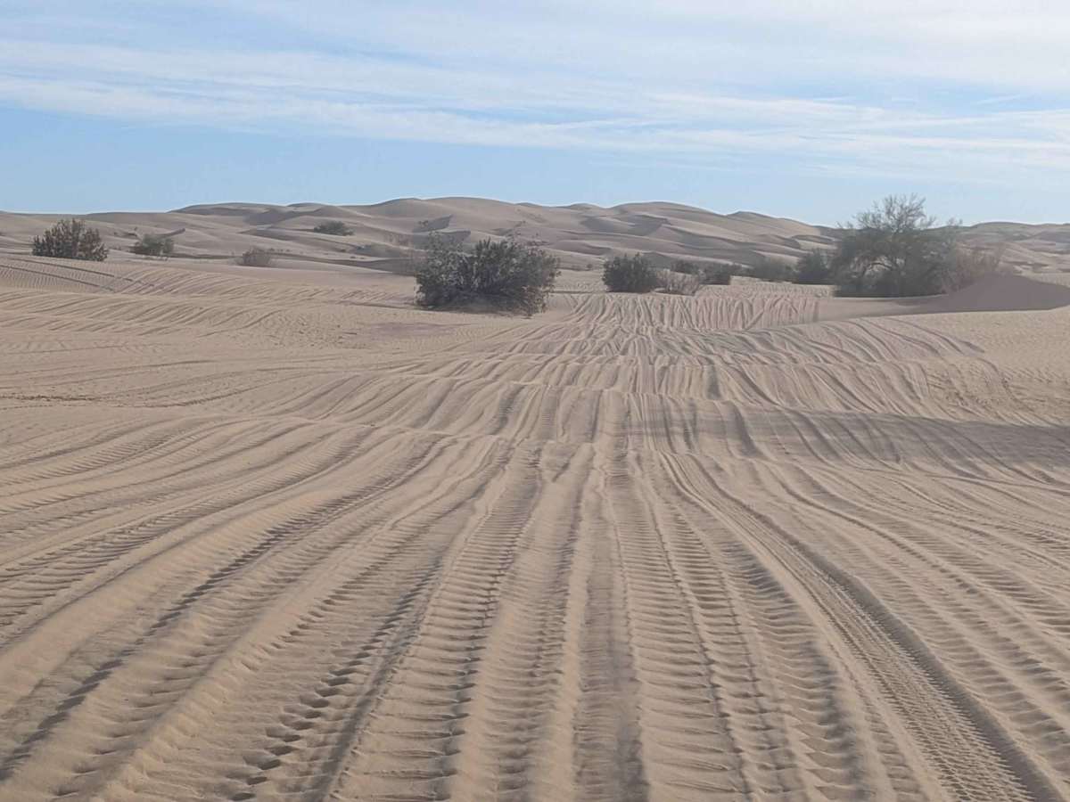 The Sand Highway photo 5