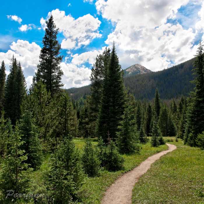 Near Lulu City Out-and-Back