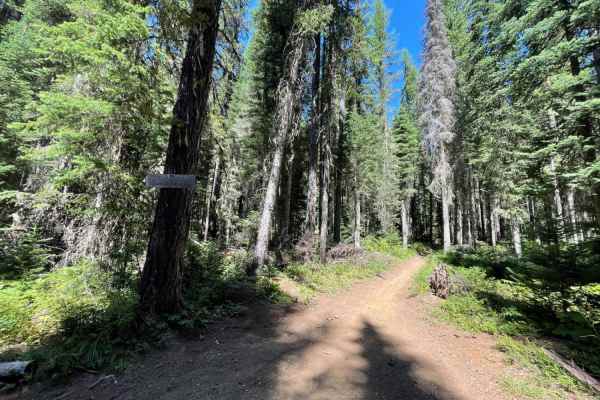 East Declaration Trail #416