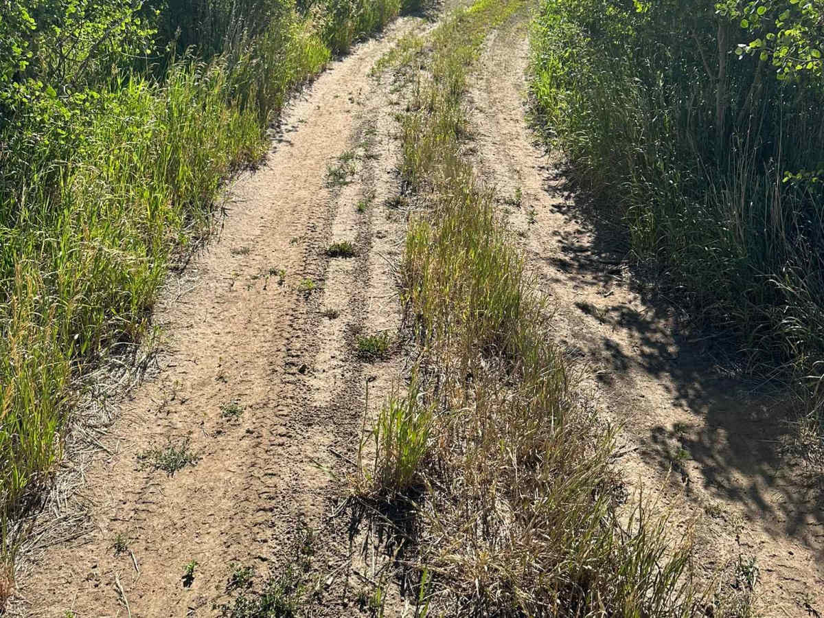 BLM Route 2756 photo 4