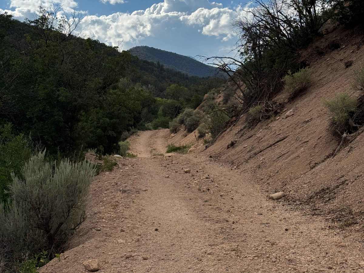 Red Dirt Basin Road - 611 photo 6