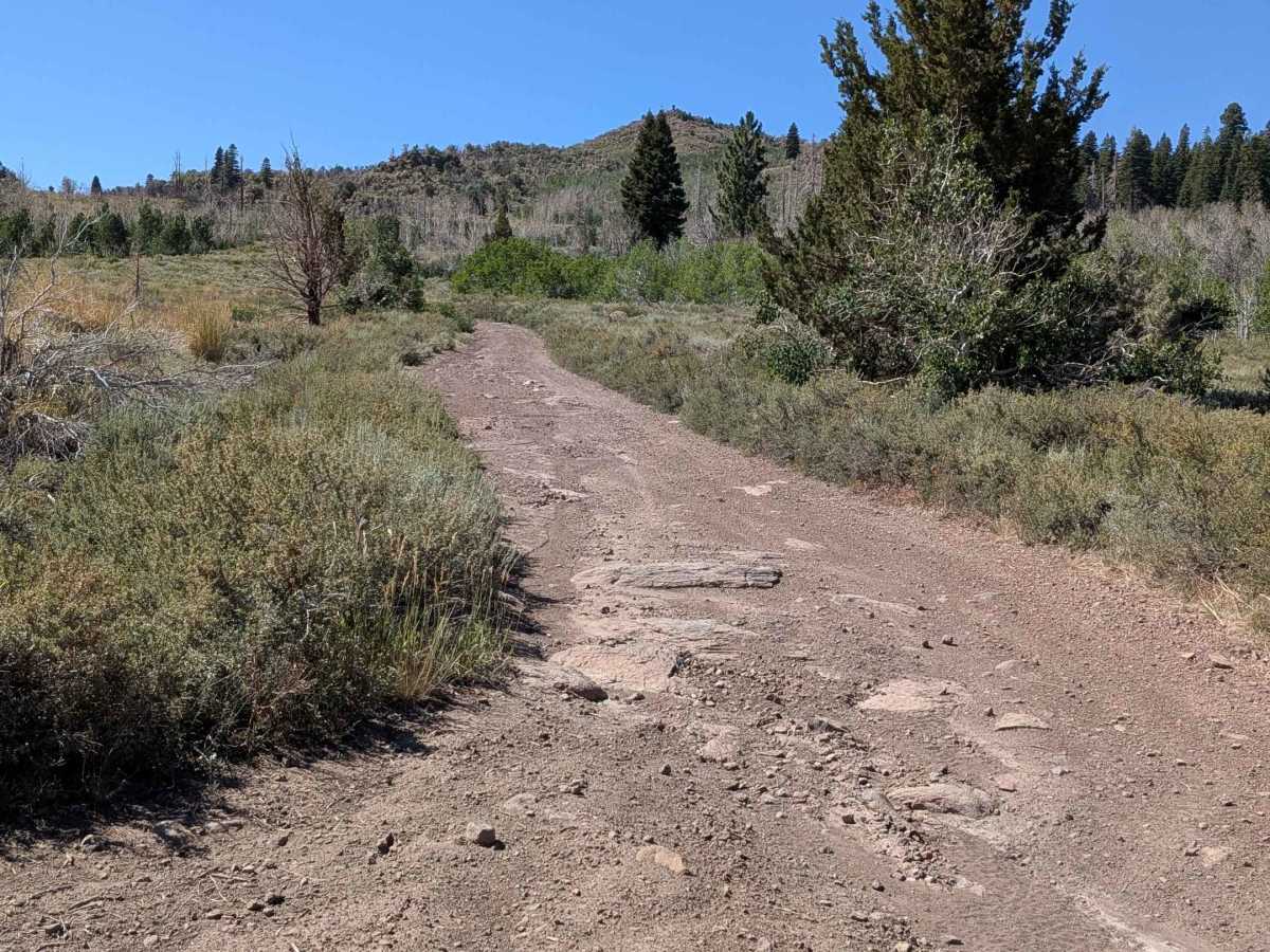 Big Spring Spur Road trail photo