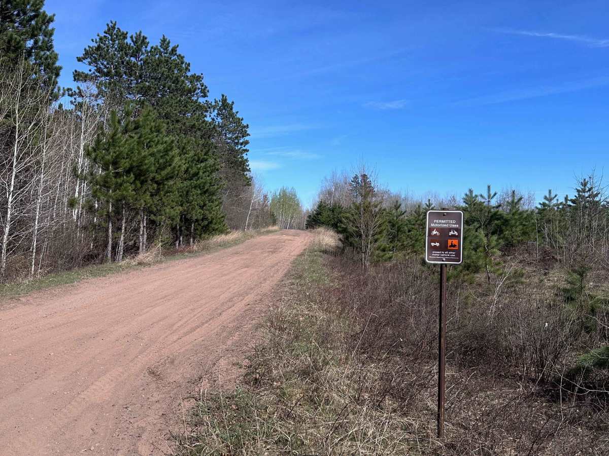 East Arm Forest Road trail photo