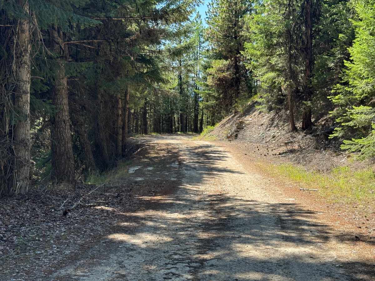 Rock Creek Road - FSR 444 photo 5