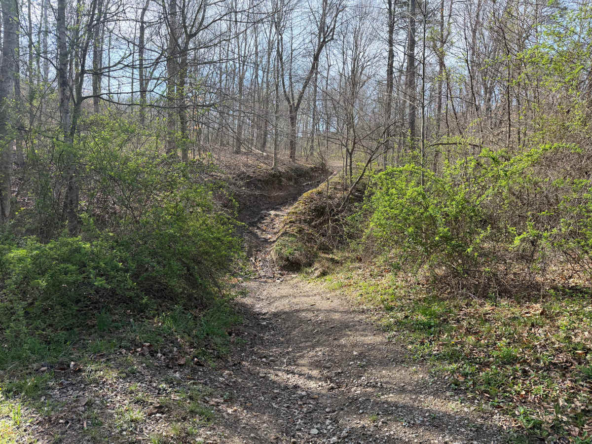 Telegraph Trail photo 3