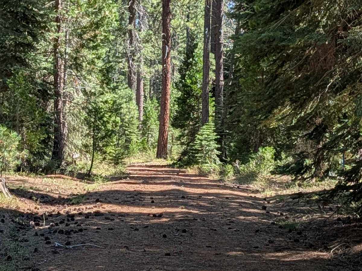 Bear Wallow East - FS 40N12 trail photo