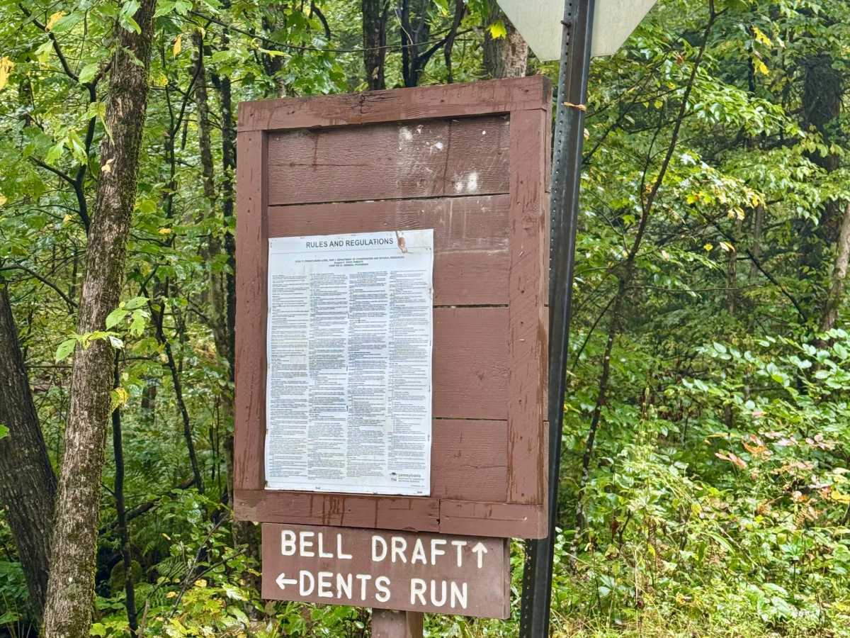 Belle Draft Road photo 4
