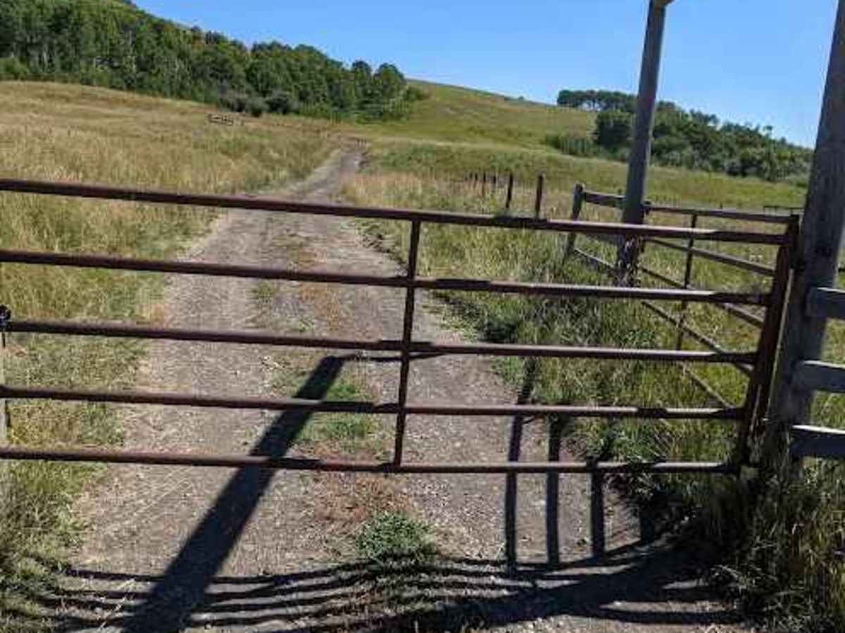 Lyndon Creek Road - Shared Section photo 2