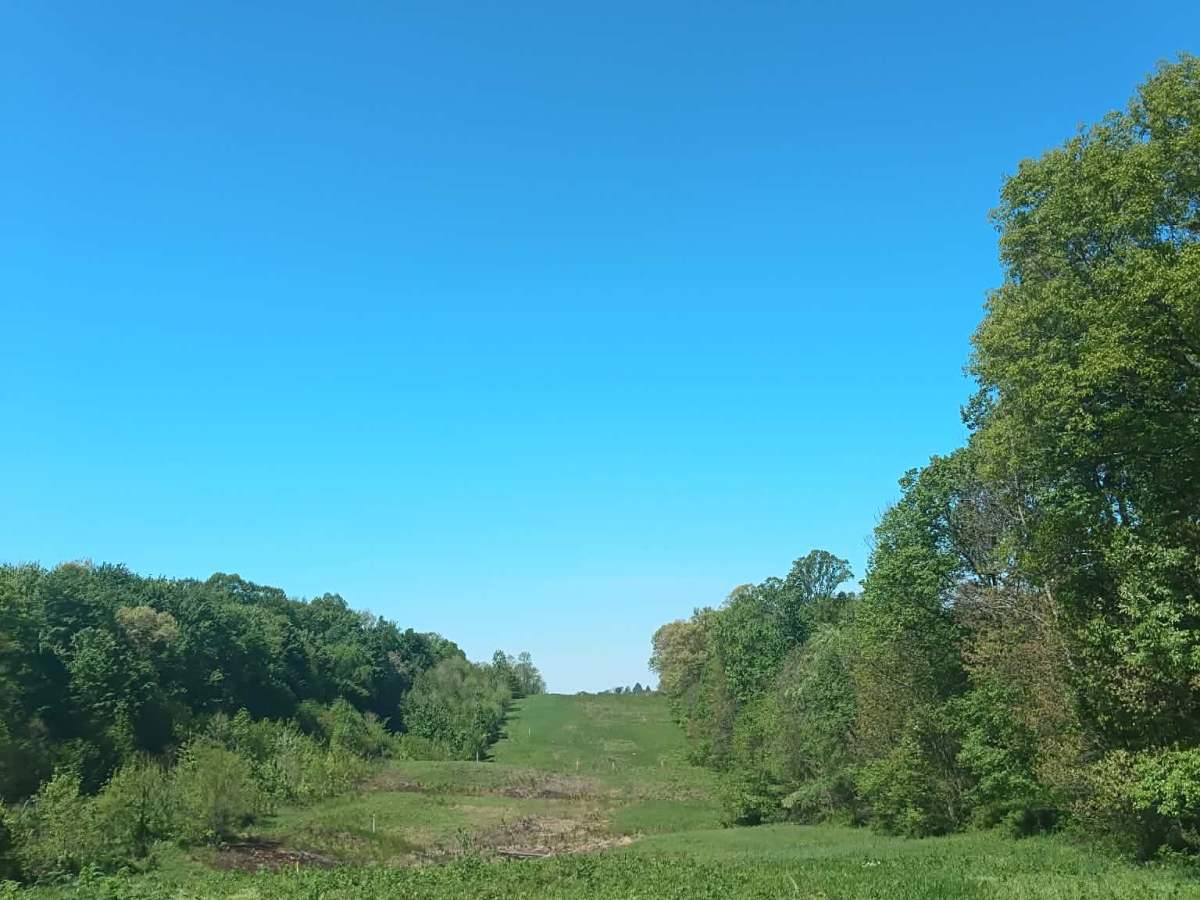 Township Highway NR1  photo 4