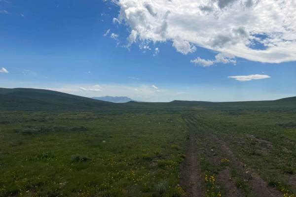 Fish Creek Ridge Road (FS 9626)