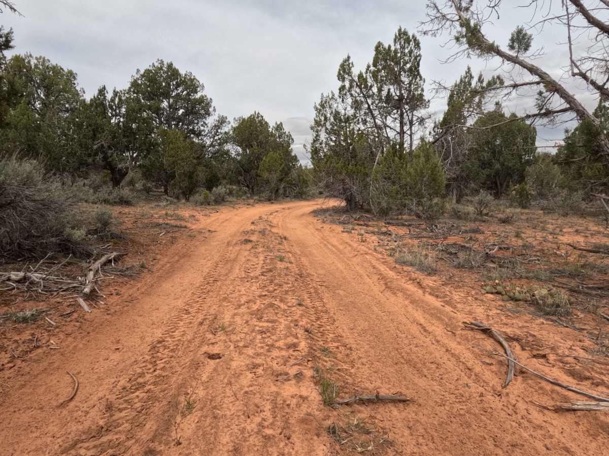 BLM 64X photo 2