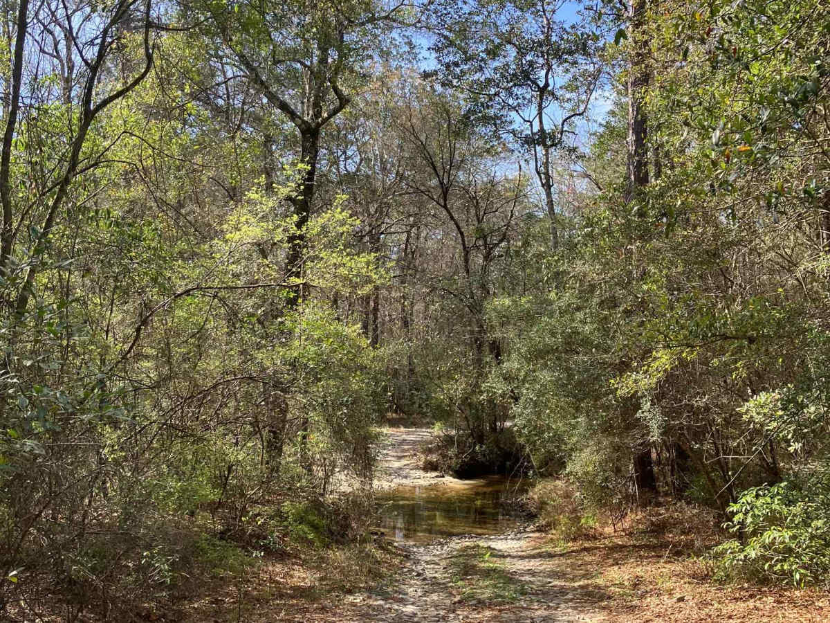 Yellow River Route photo 6