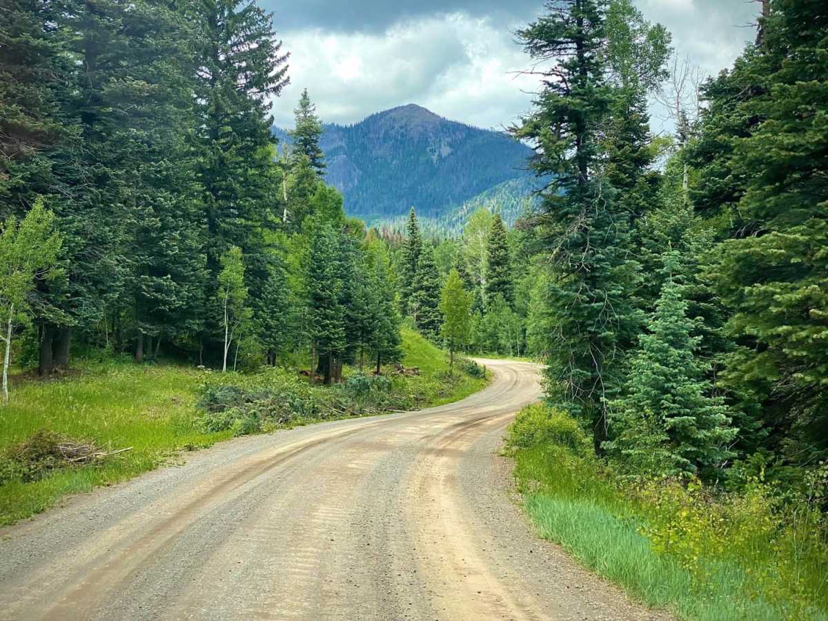Four Mile Falls & Lake Trails-Fr Rd 645 photo 4