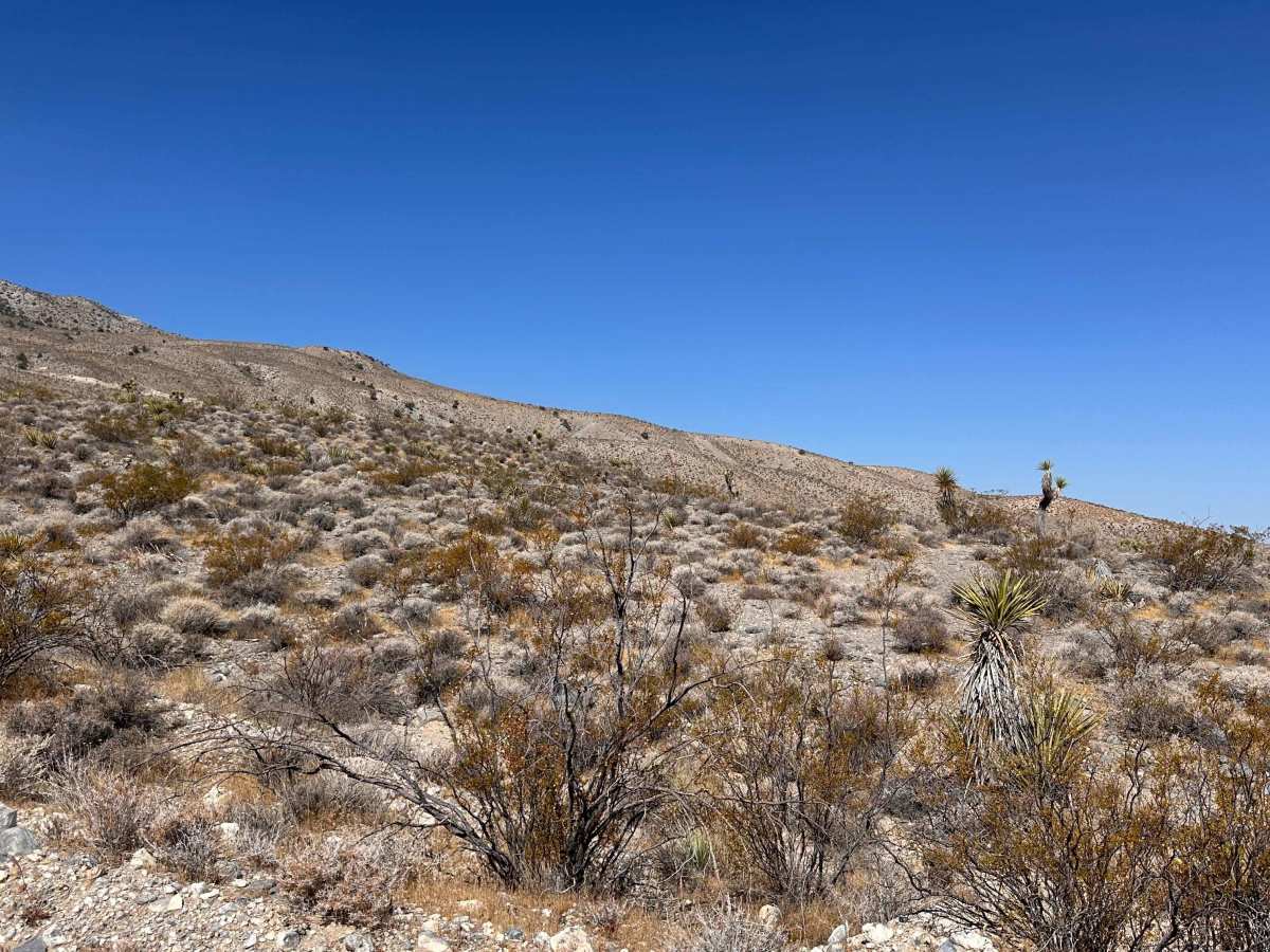 Haystack Trail photo 2
