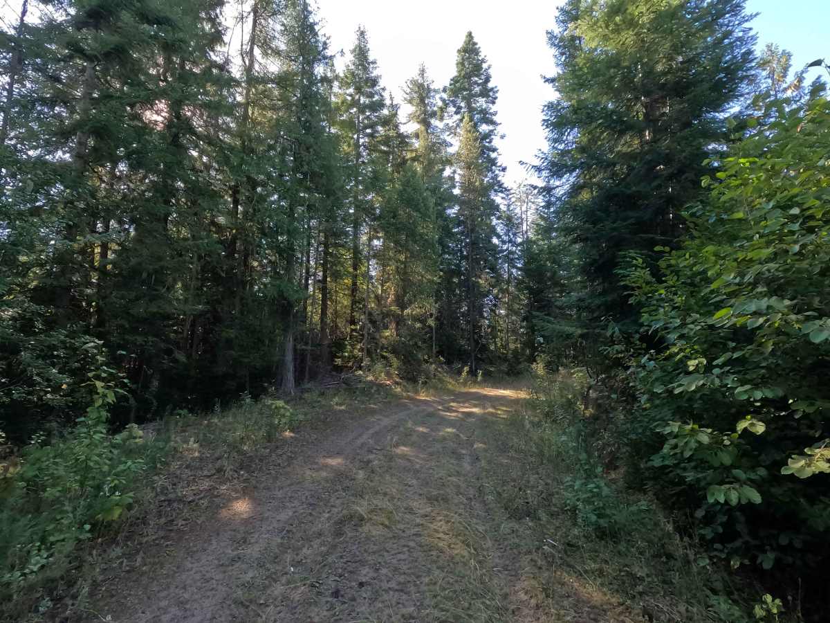 Klahowya Creek F - FS 1075F photo 2