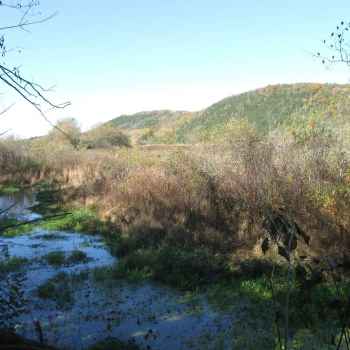 Near Ice Age Trail: Lodi Marsh Segment