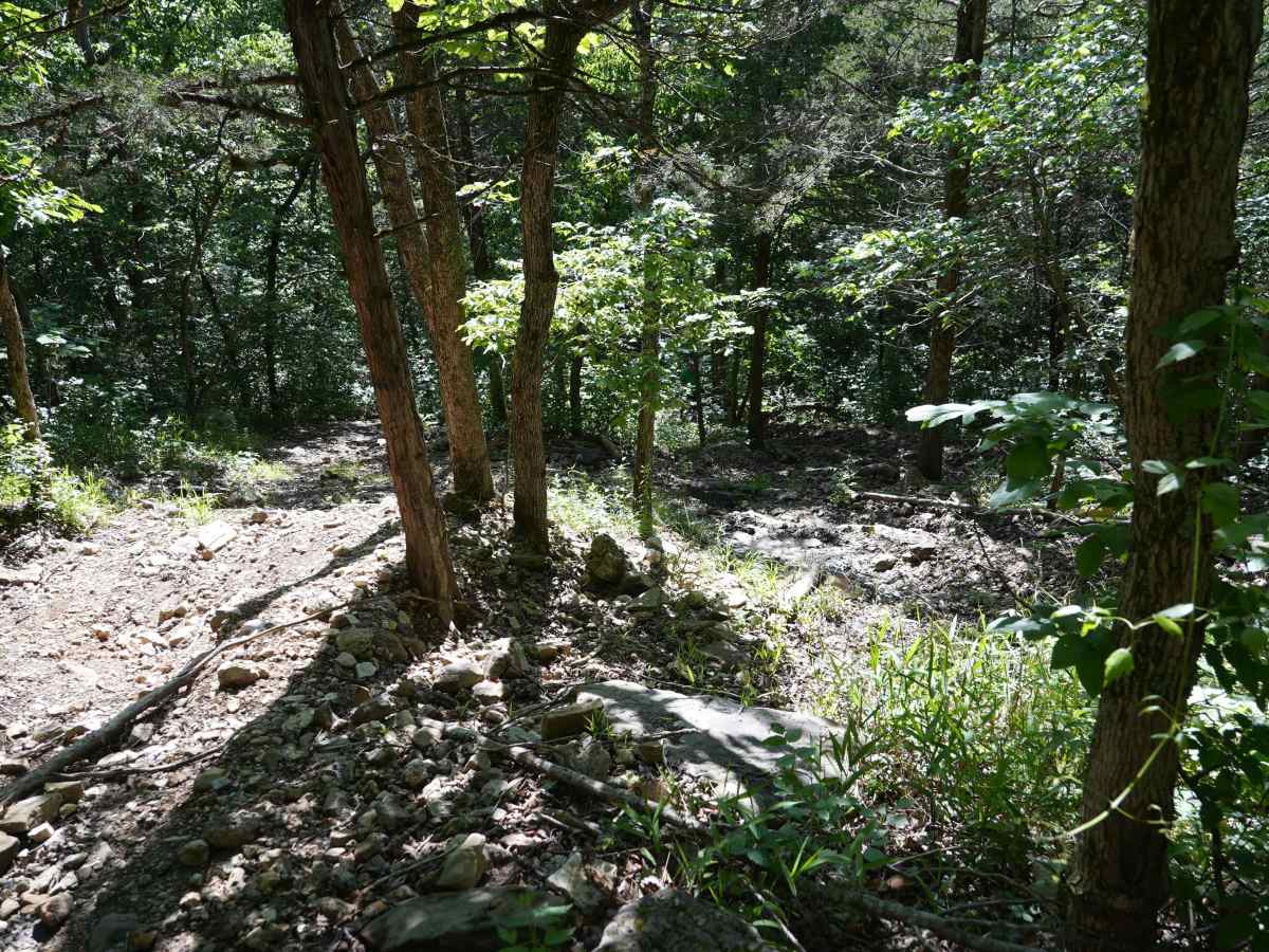 Bickel's Shitty Hill photo 4