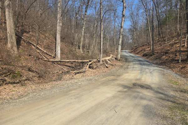 Spooner Road