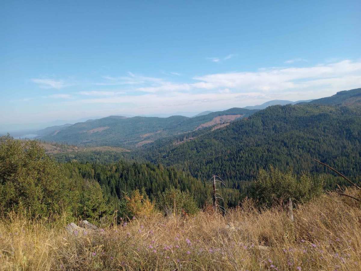 Mt Spokane via IEP Backroads photo 6