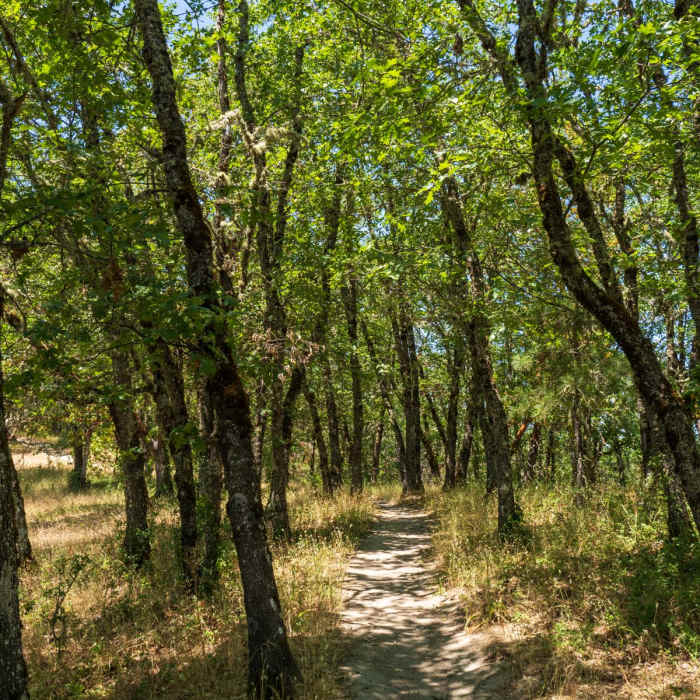 Near Dollar Mountain