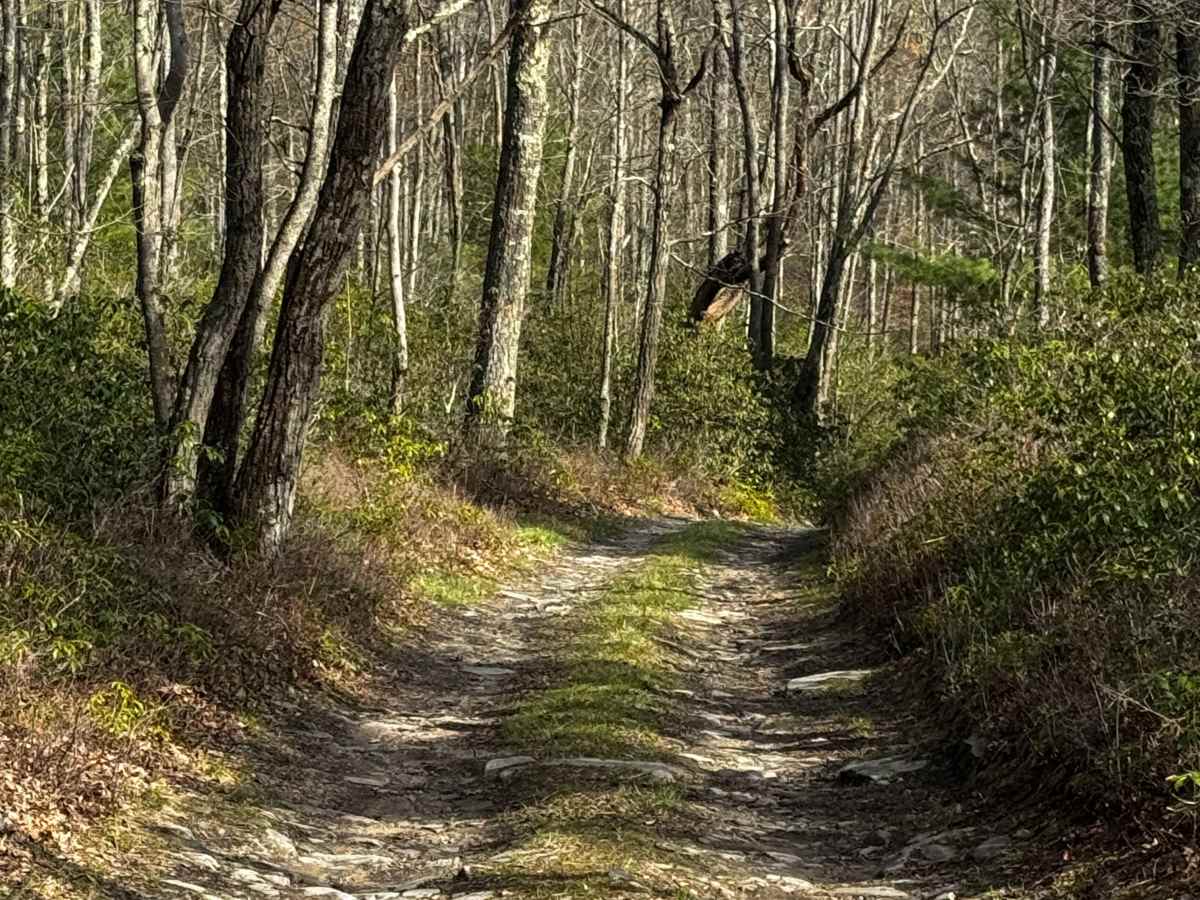 Dishpan Hollow Road photo 3