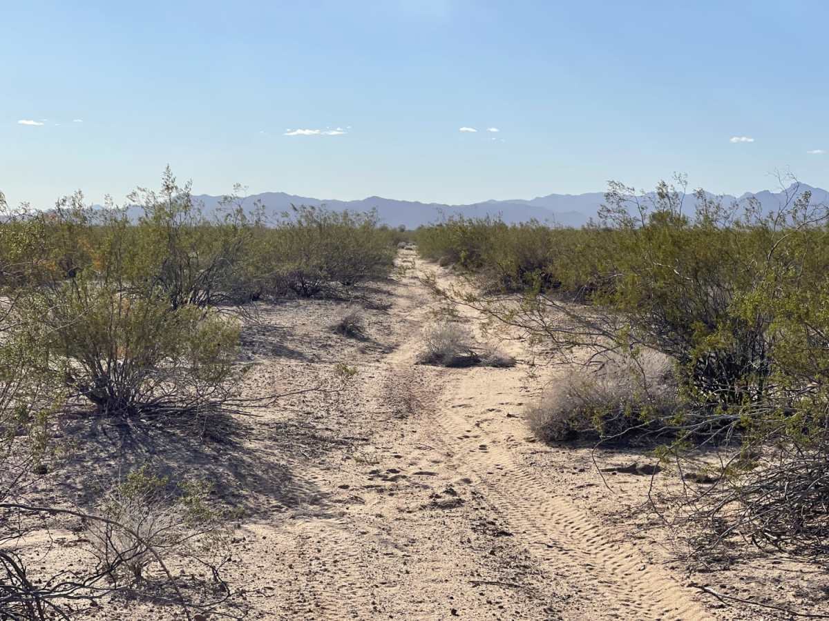 Where Did The Trail Go photo 5