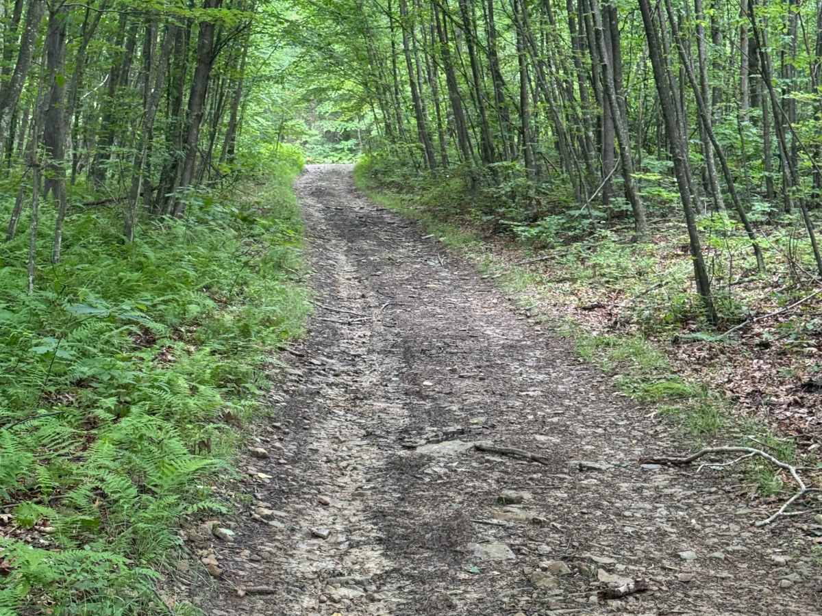 Trail 82 photo 5