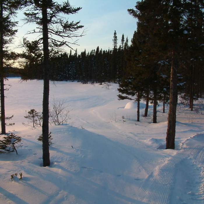 Near McLean Lake Trail