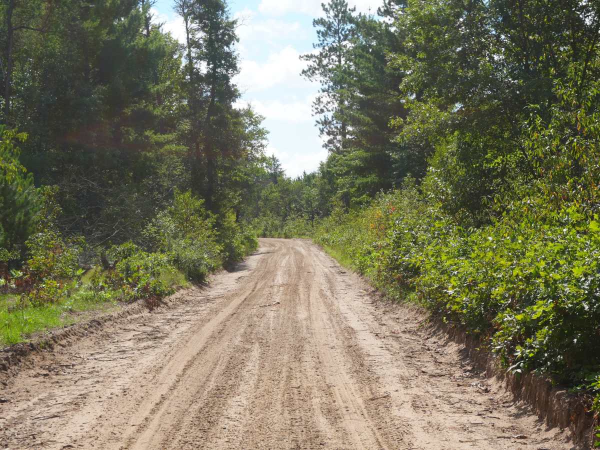 East Grass Lake Road photo 5