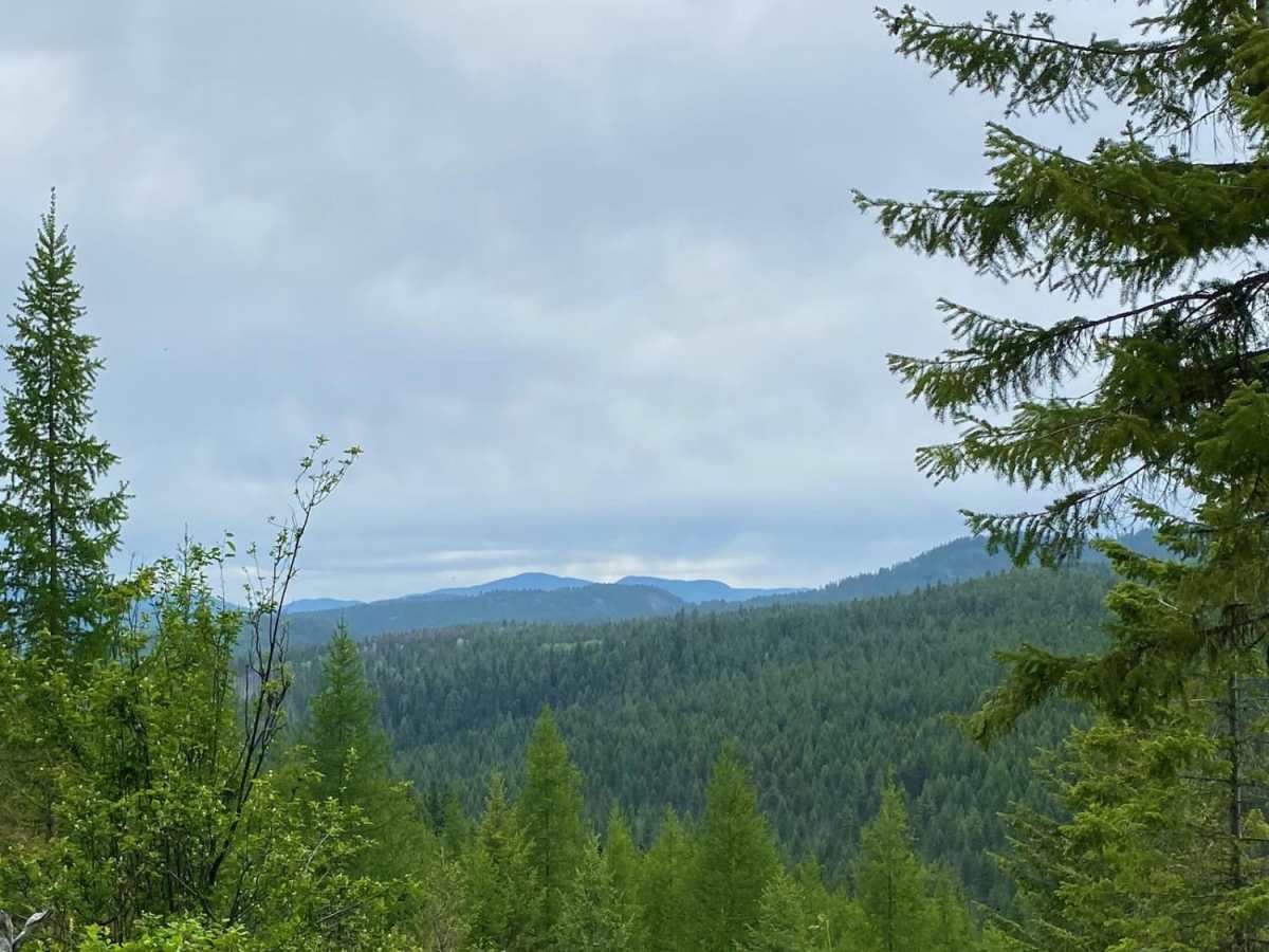 Sheep Creek photo 2