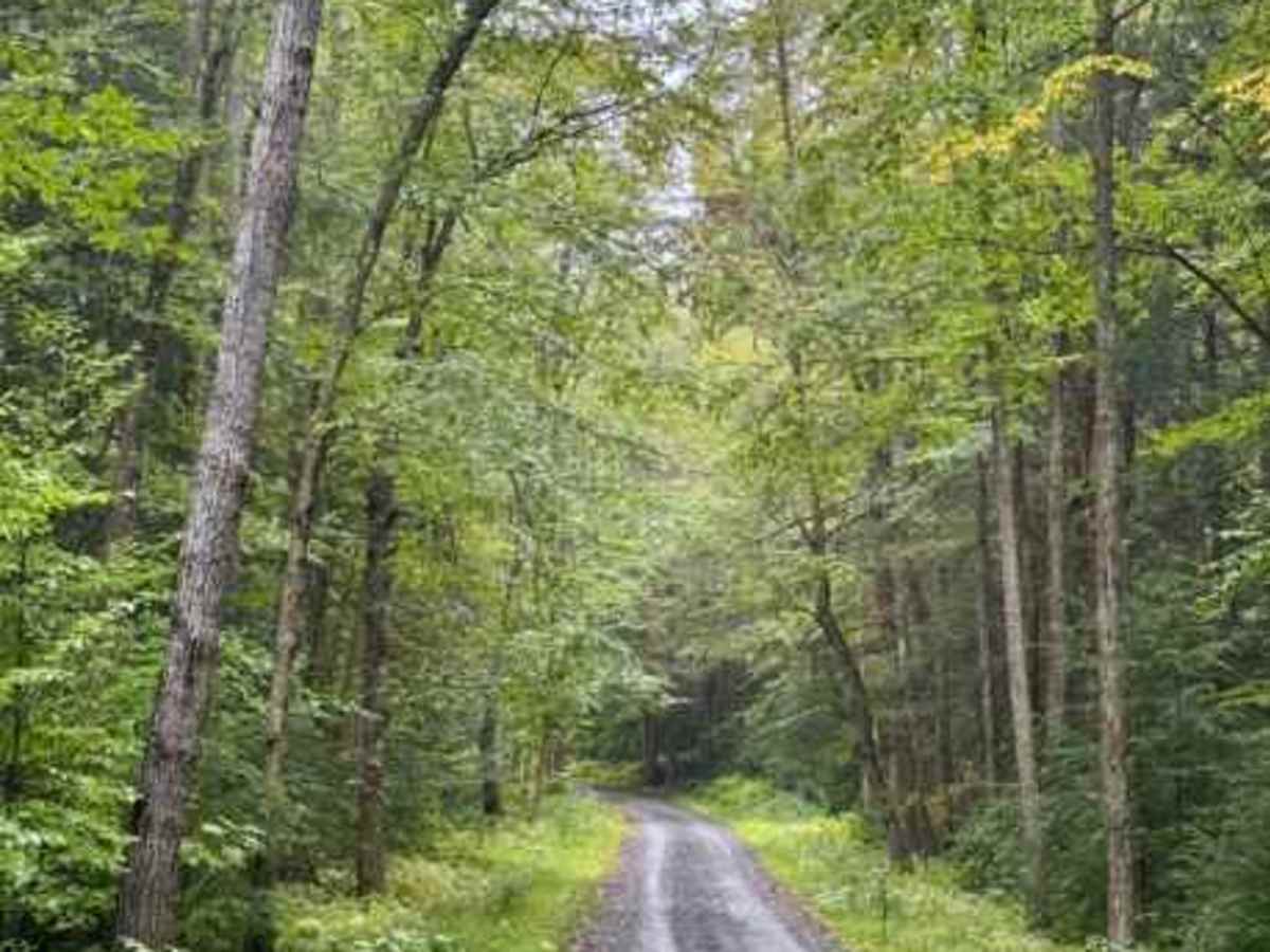 Dents Run Road photo 3
