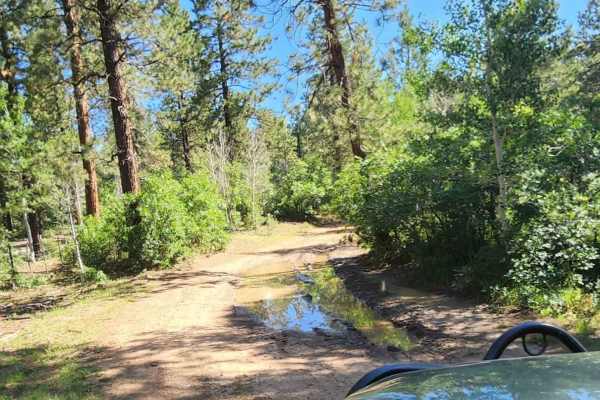 Millwood Road