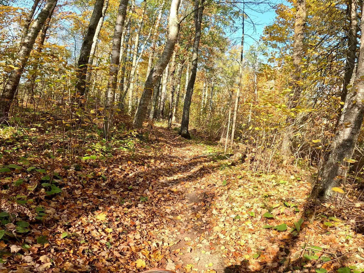 Tamarack Straight Arrow Blue Trail  trail photo