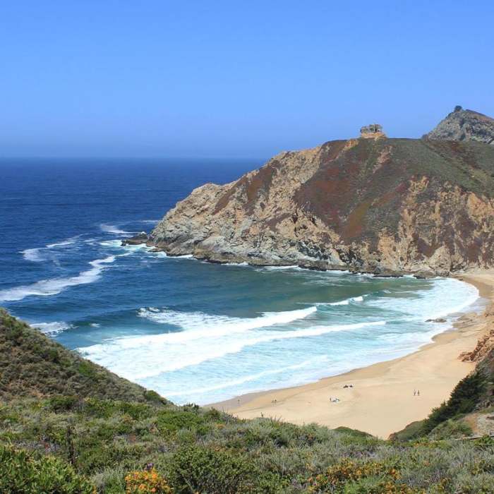 Near Gray Whale Cove Trail