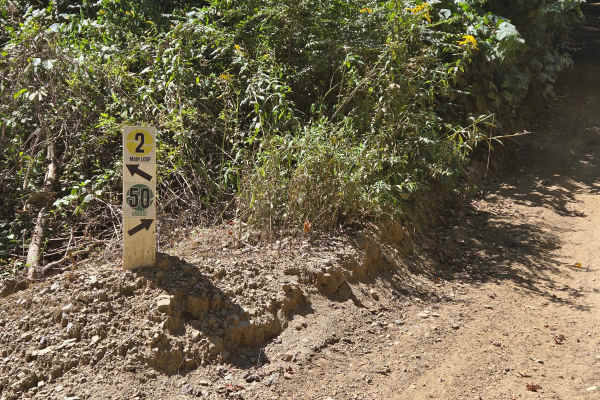 Trail 50 