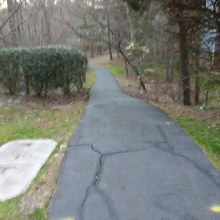 Near Woodcroft Trail - East