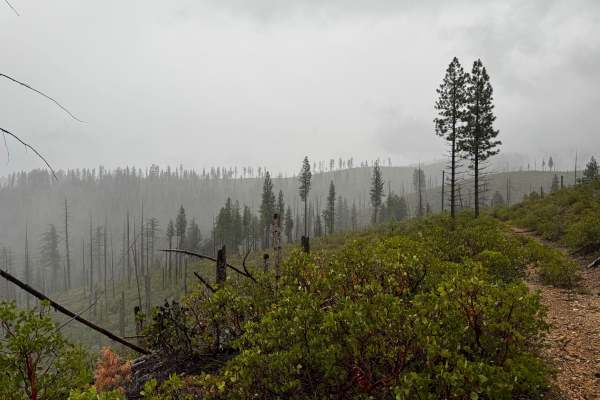 American Hill Trail Spur