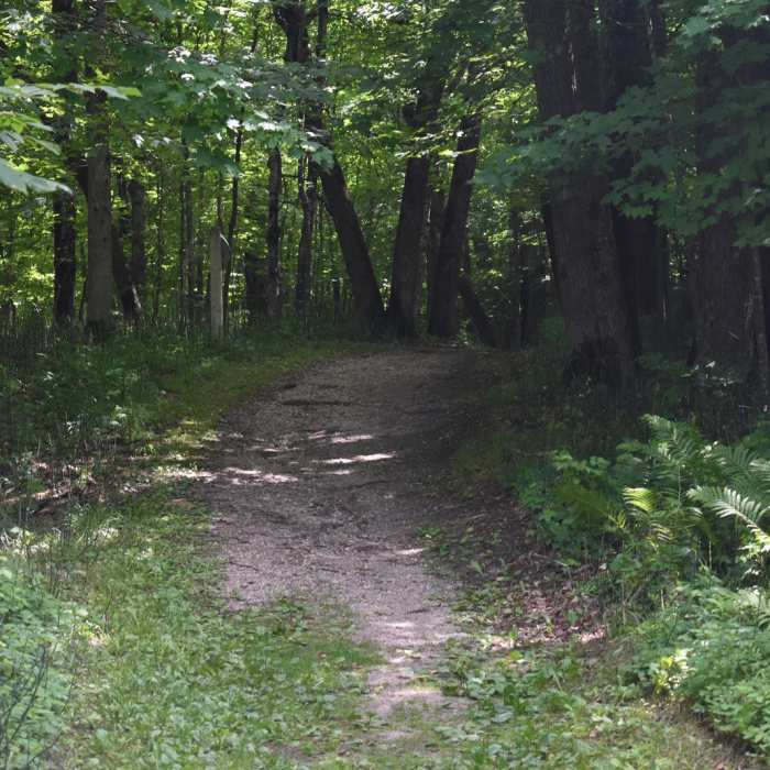 Near Hiking Club Route Near Hiking Club Route