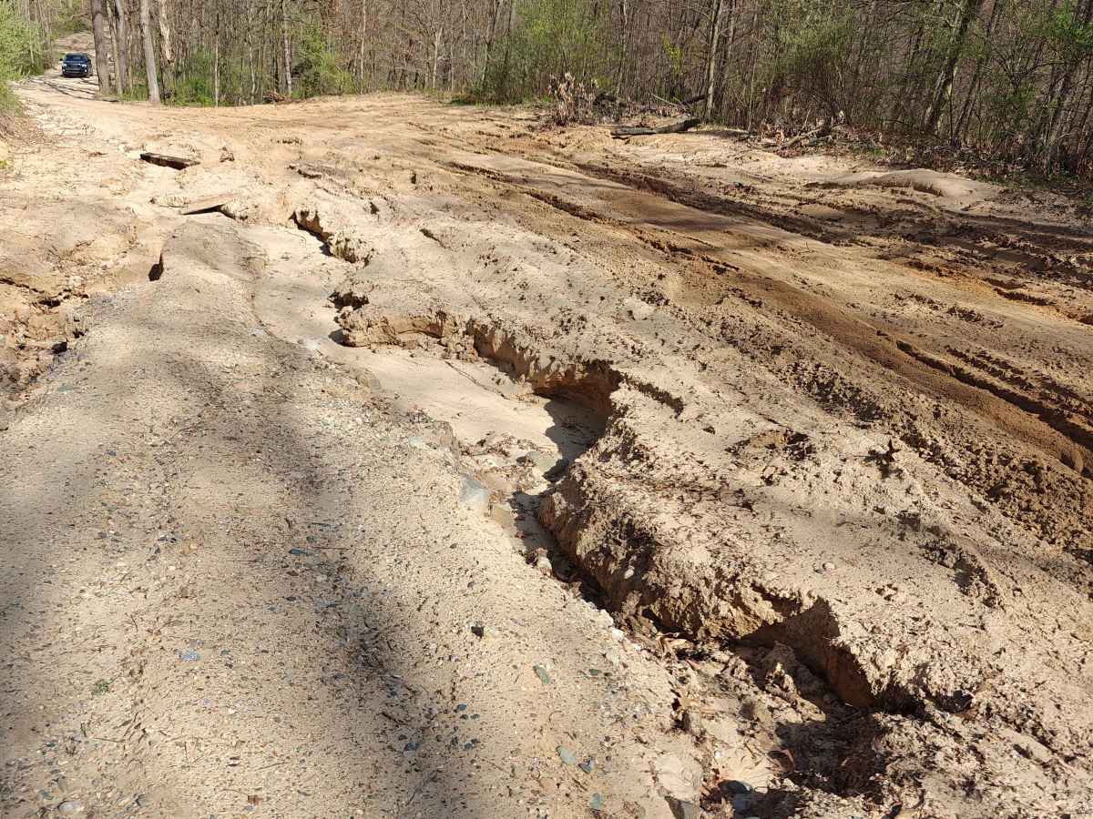 Middleville State Game Area photo 2
