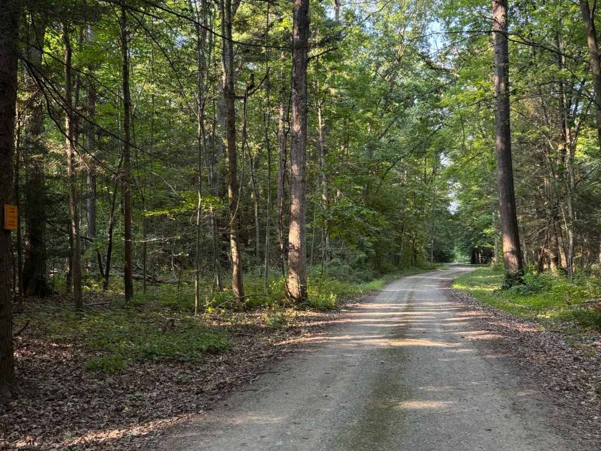 Shaker Access Road photo 2