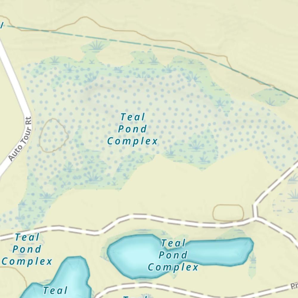 Teal Pond Complex photo