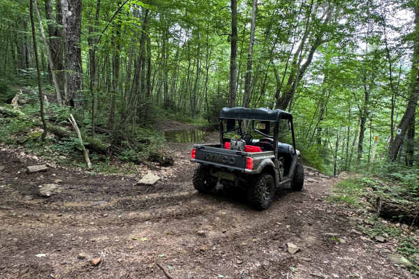 Trail 33