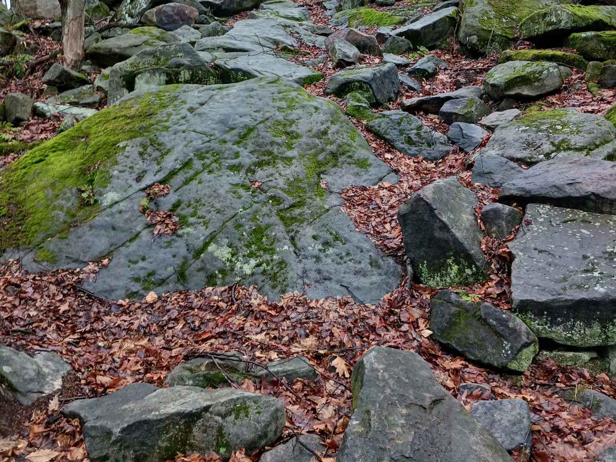 OHV 43 - Rock Run Recreation Area photo 6