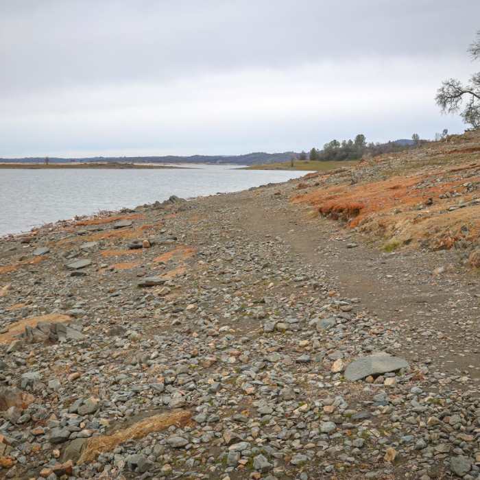 Near Mormon Island Trail