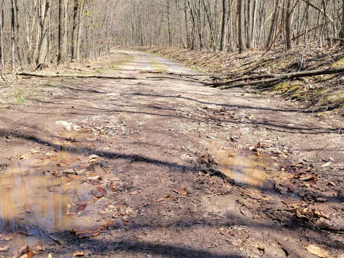 Flat Trail photo 2