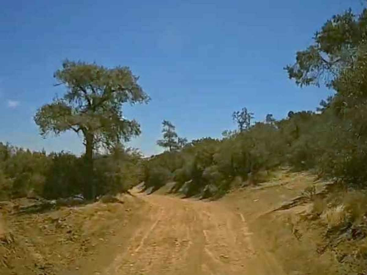 Sterling Canyon Trail photo 2