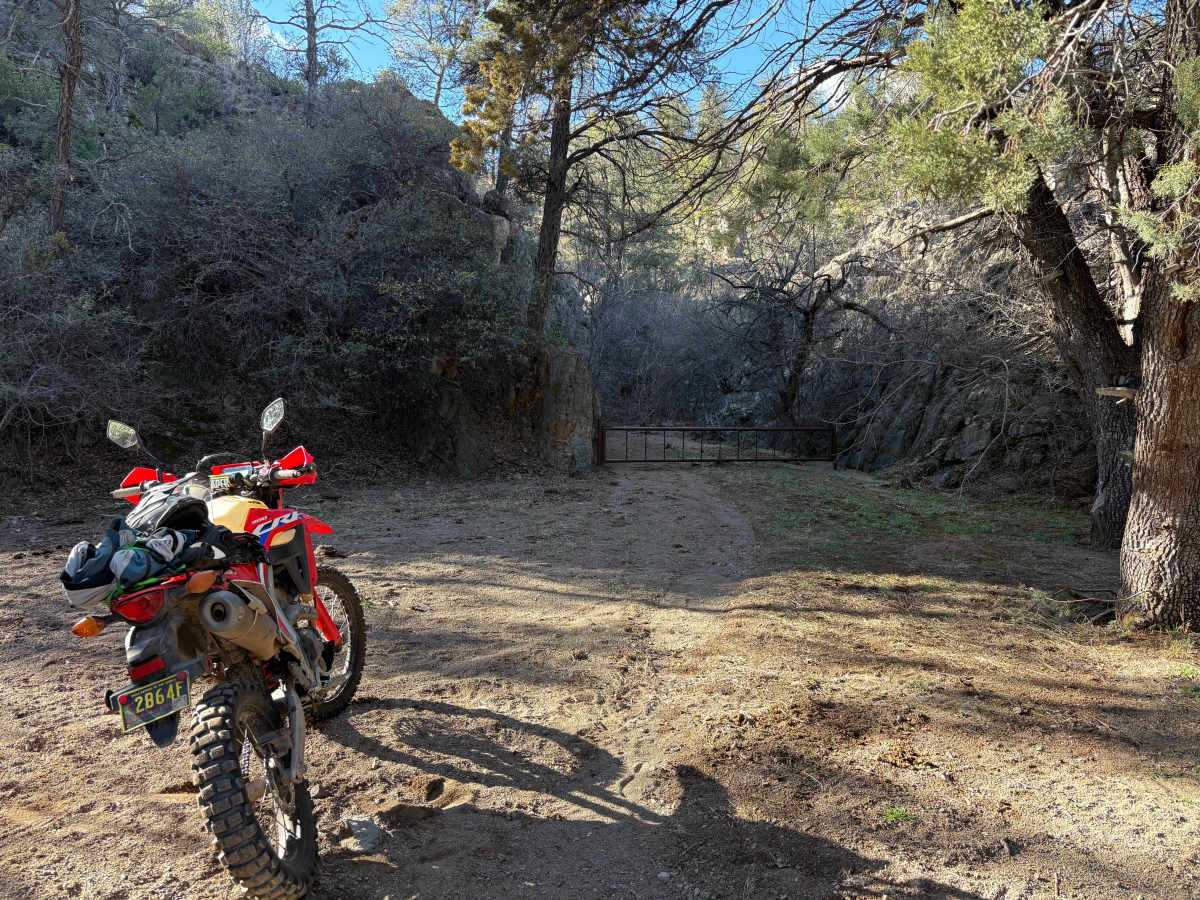 Big Bear photo 4